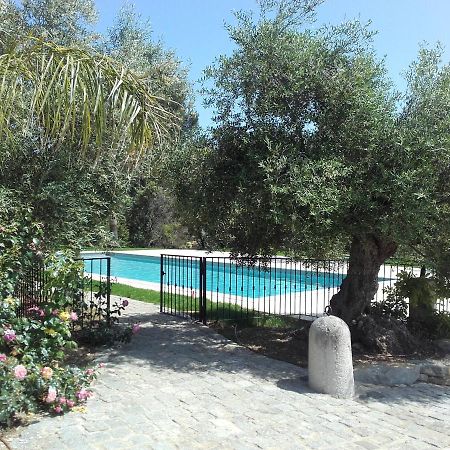 La Bastide De L'Oliveraie ル・カステレ エクステリア 写真