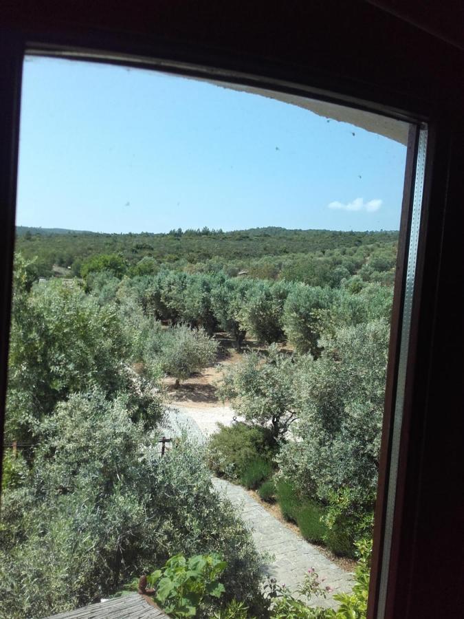 La Bastide De L'Oliveraie ル・カステレ エクステリア 写真