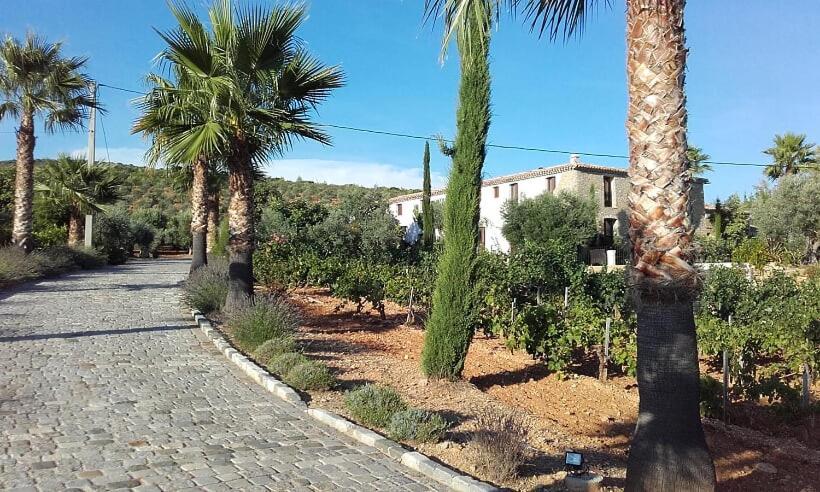 La Bastide De L'Oliveraie ル・カステレ エクステリア 写真