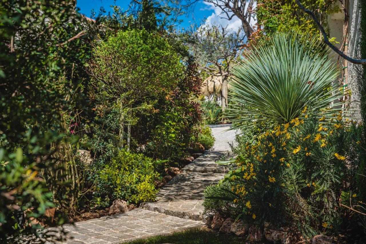 La Bastide De L'Oliveraie ル・カステレ エクステリア 写真